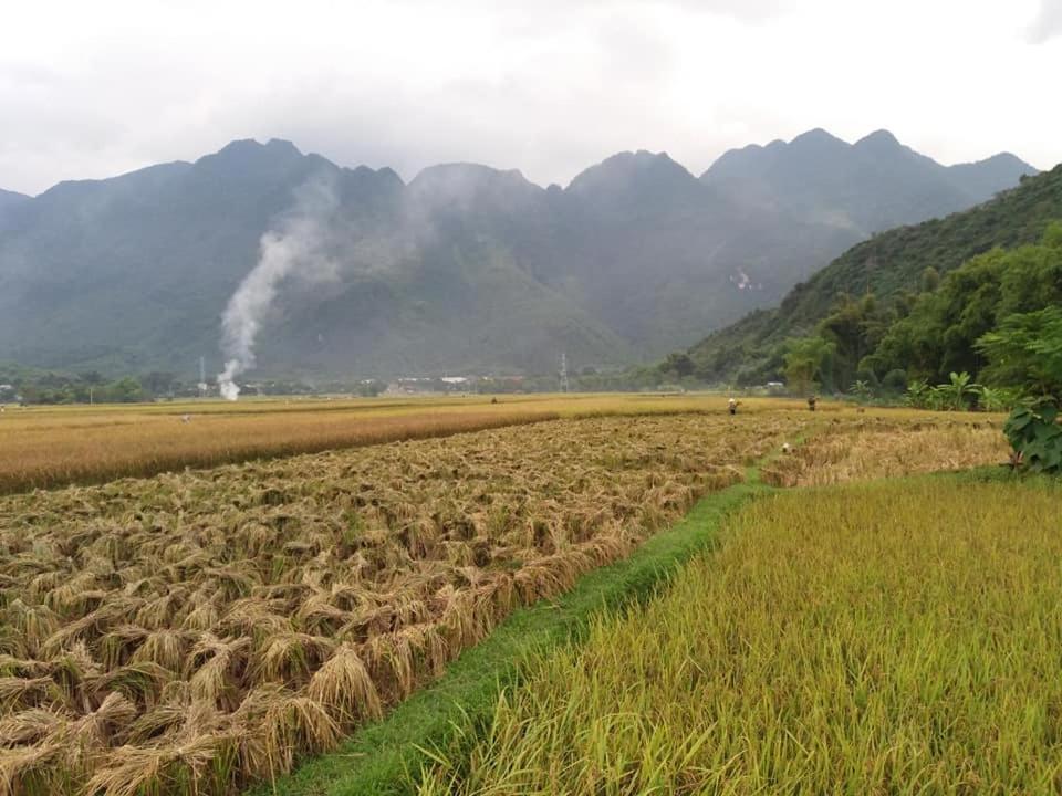 Mai Chau Xanh Bungalow Екстериор снимка