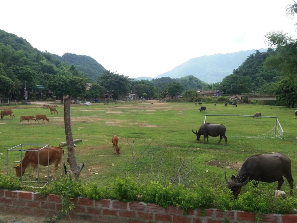 Mai Chau Xanh Bungalow Екстериор снимка